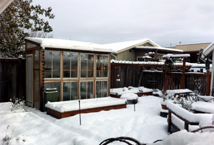 \"window-frame-greenhouse-in-winter\"